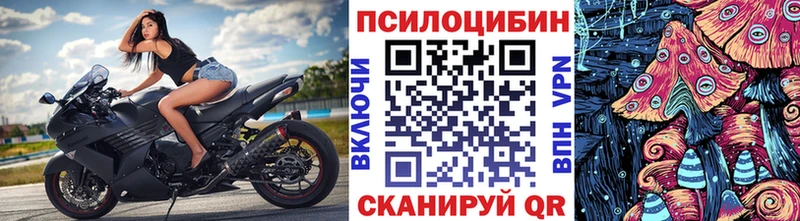ОМГ ОМГ как зайти  Харабали  Галлюциногенные грибы мицелий 